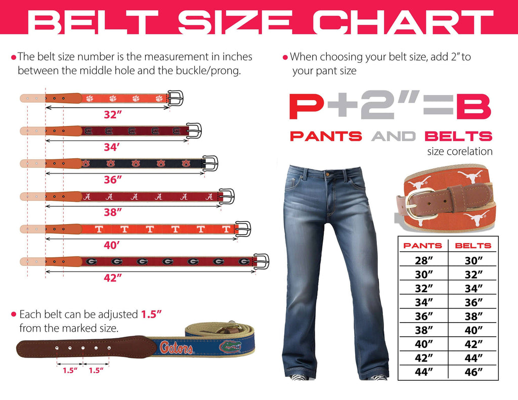 USC Gamecocks Collegiate Woven Ribbon Belt