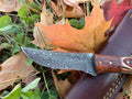 Drop-Style Blade, Black Walnut and Diamond Wood Scales Hunting Knife