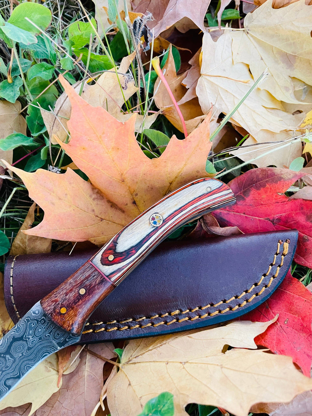 Drop-Style Blade, Black Walnut and Diamond Wood Scales Hunting Knife