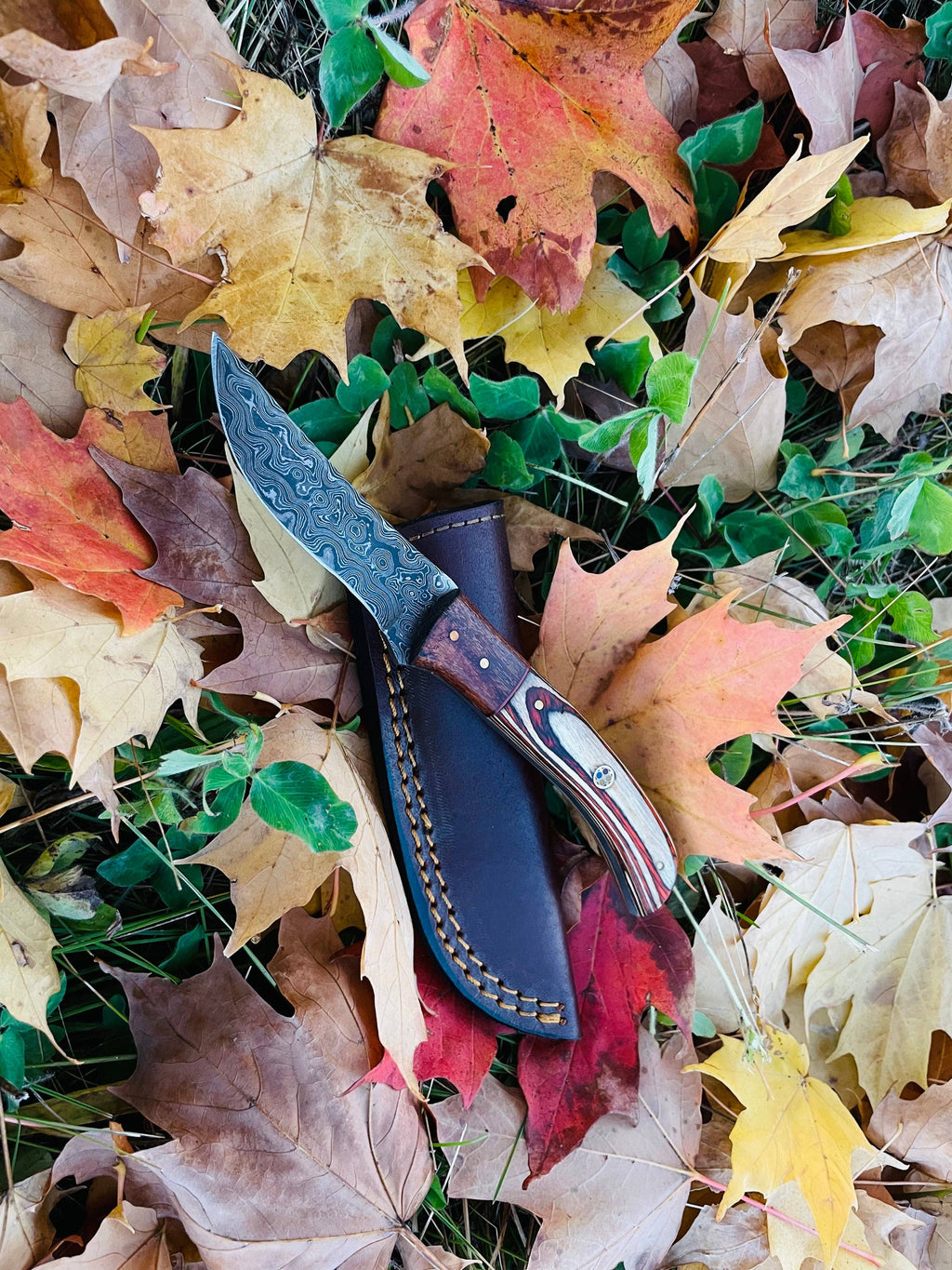 Drop-Style Blade, Black Walnut and Diamond Wood Scales Hunting Knife