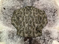 Jac Shirt