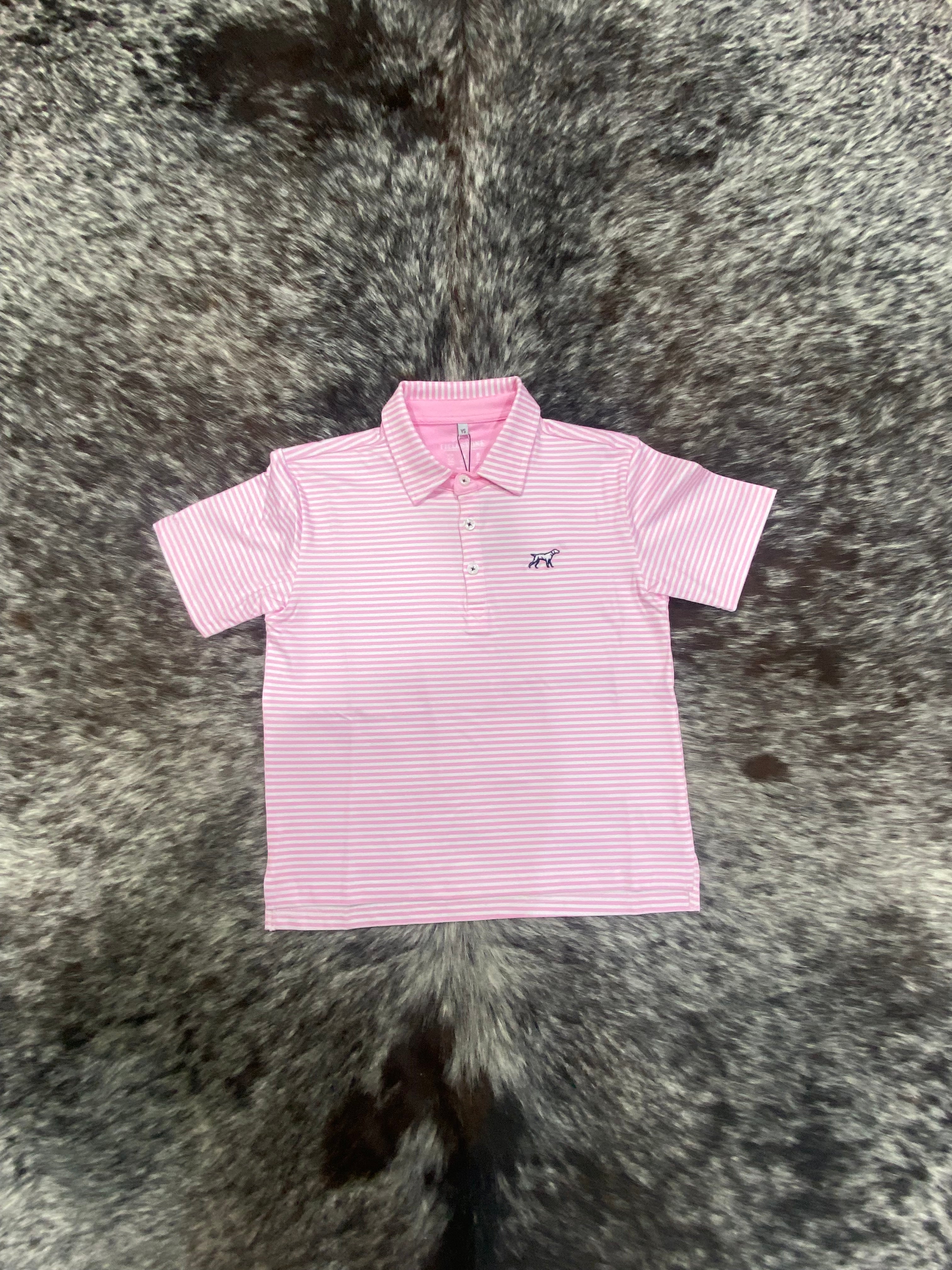 Youth Light Blue/Pink Stripes Polo