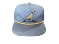 Game Series Hat