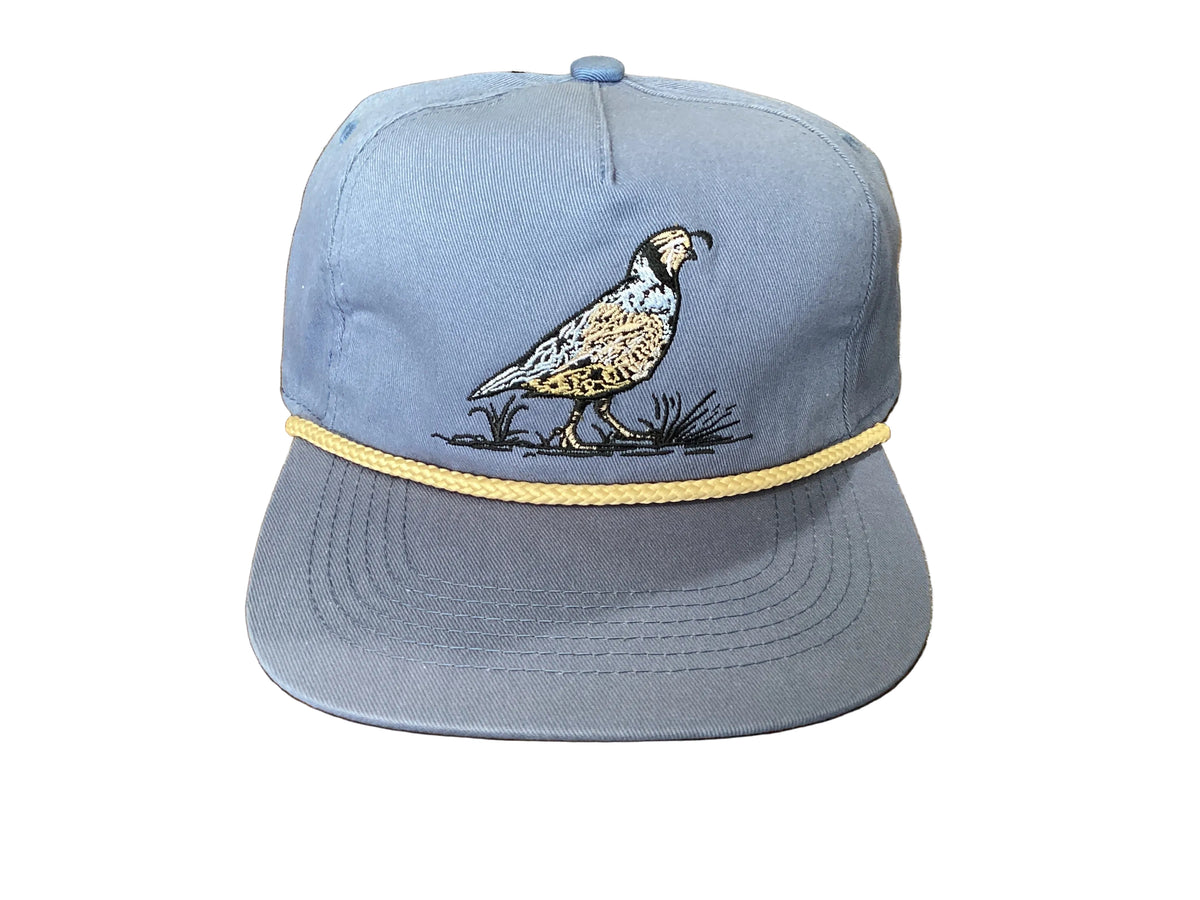 Game Series Hat