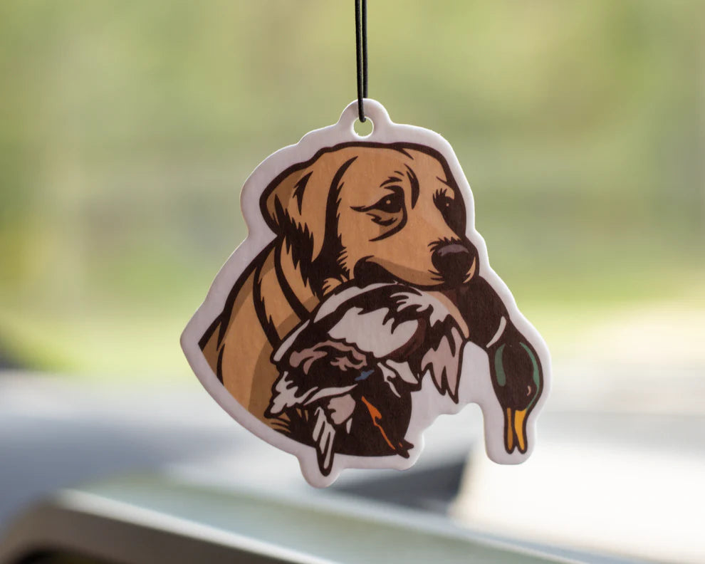 Air Freshener