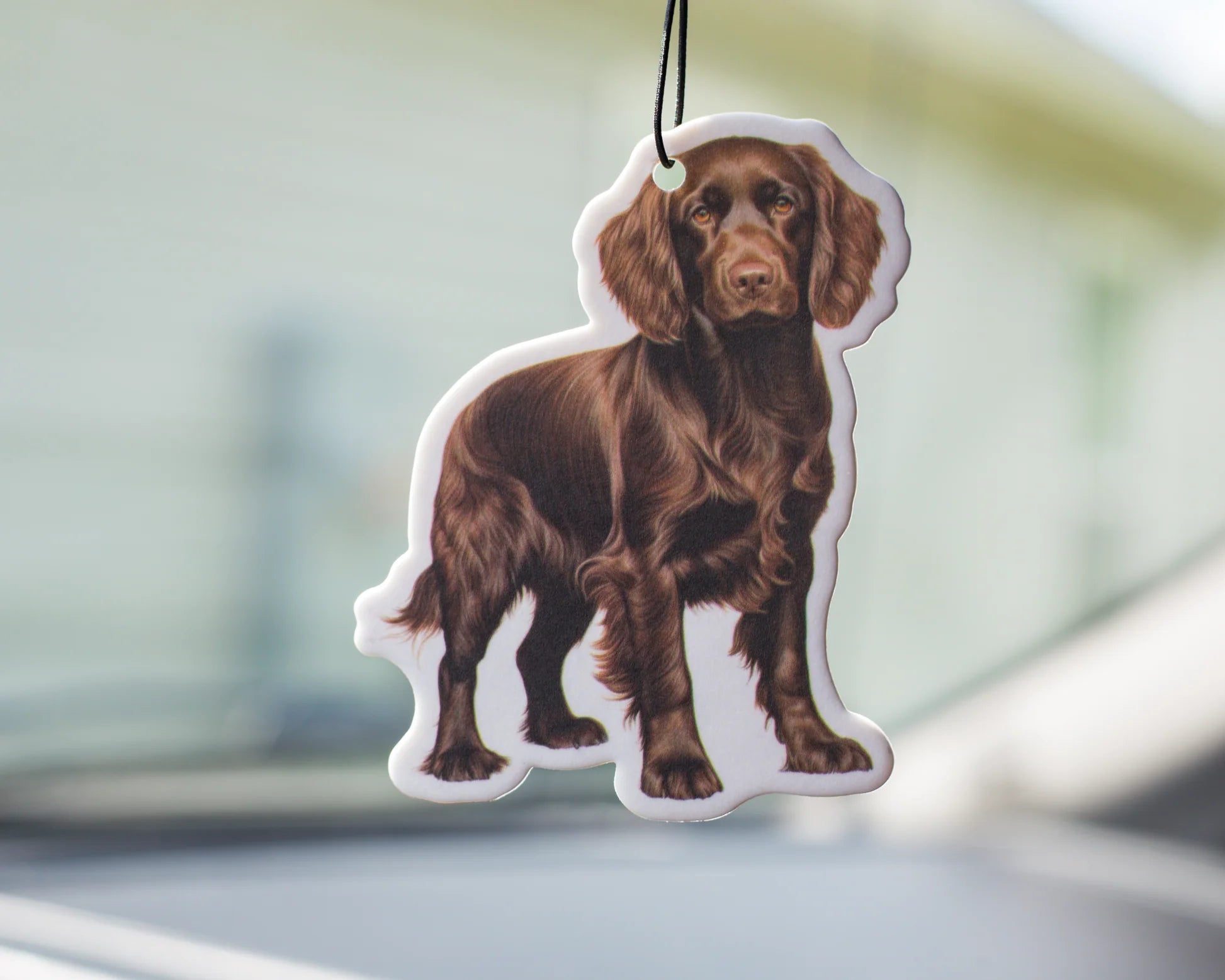 Air Freshener