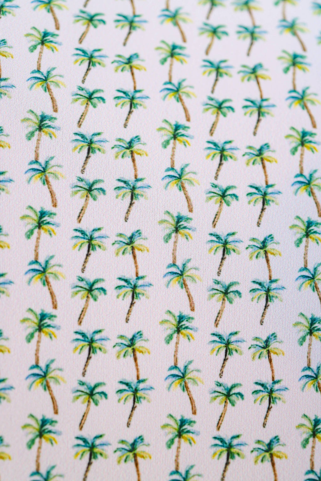 The Palm Polo