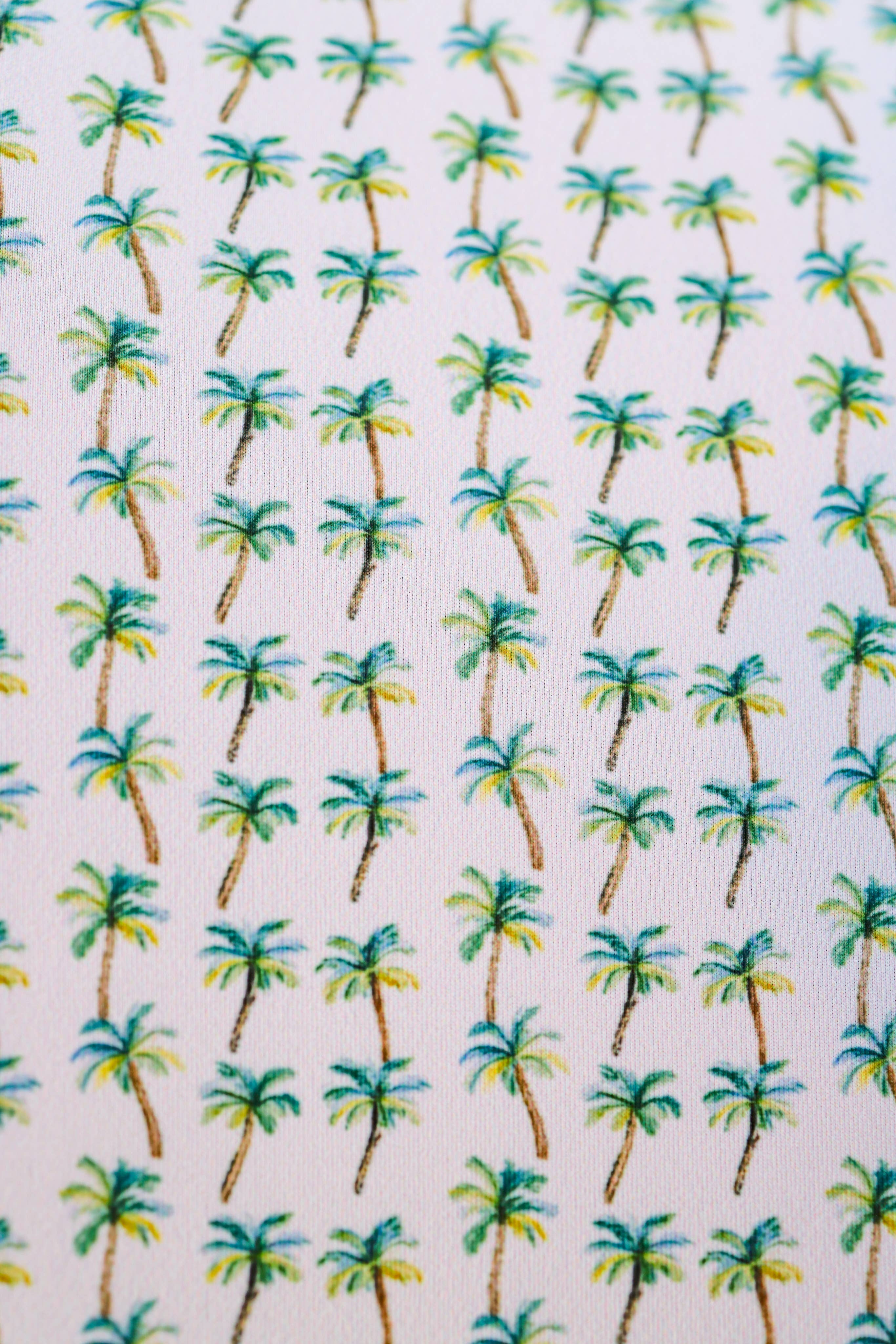 The Palm Polo