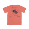 Fly Anatomy Tee