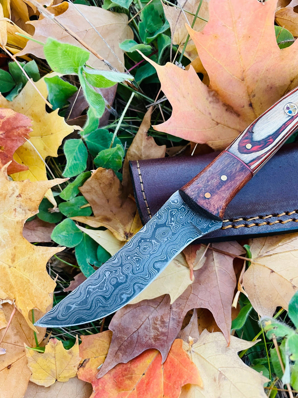 Drop-Style Blade, Black Walnut and Diamond Wood Scales Hunting Knife
