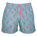 The Flamingo Swim Trunks
