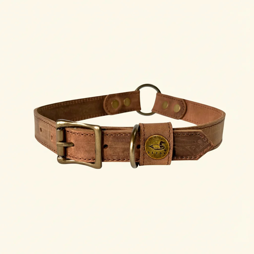 Dog Collar